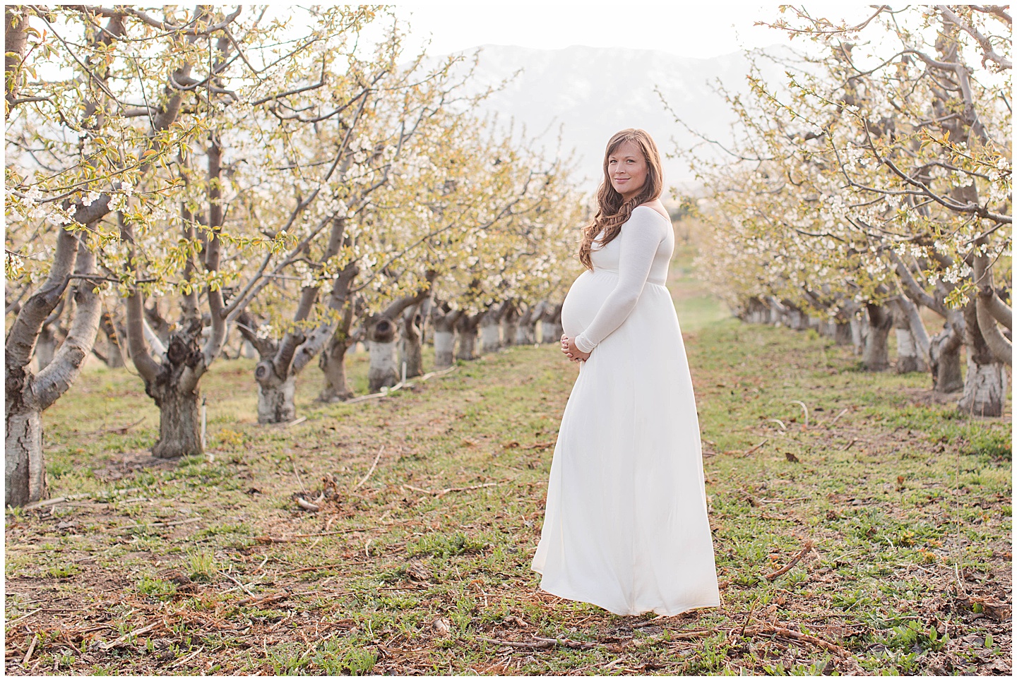 Orchard Maternity Session