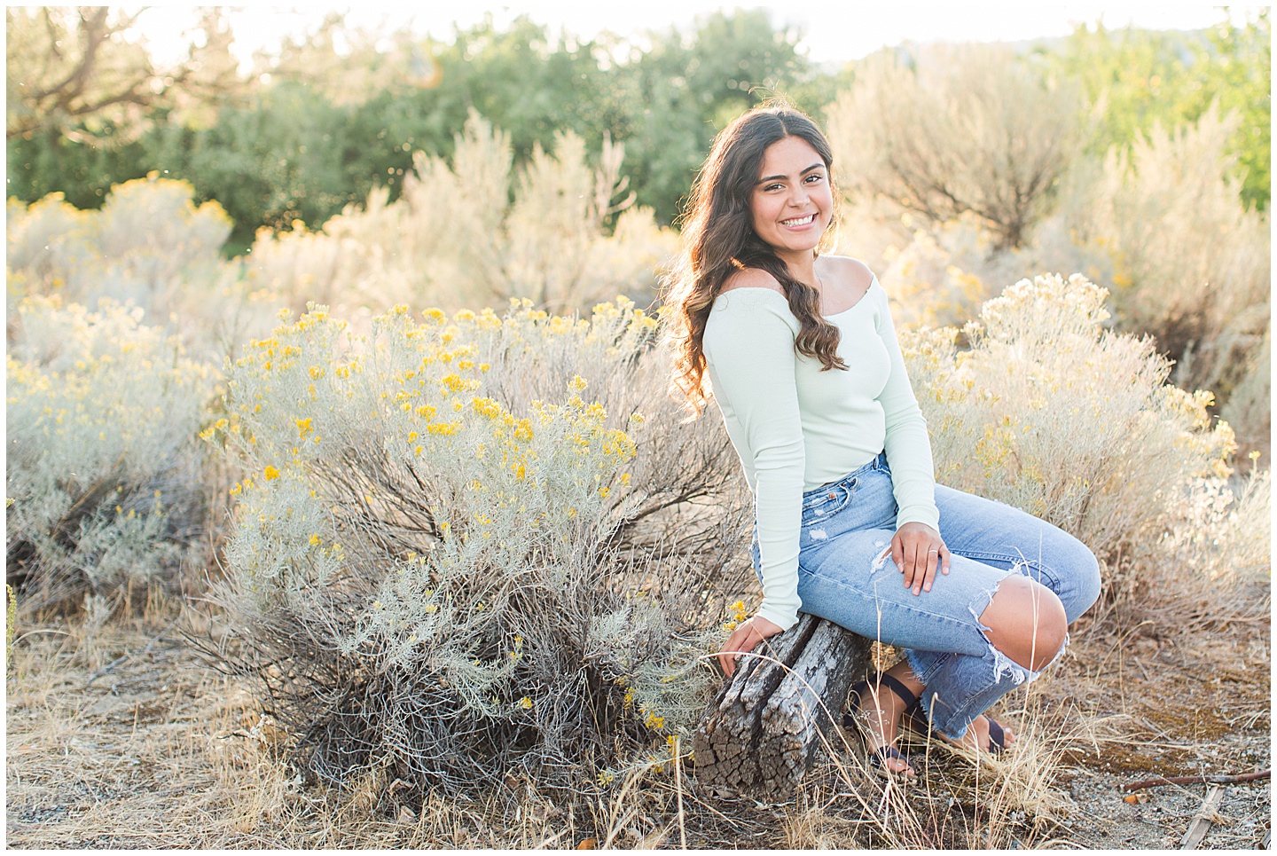 Summer Sage brush session Tiffany Joy W Photography