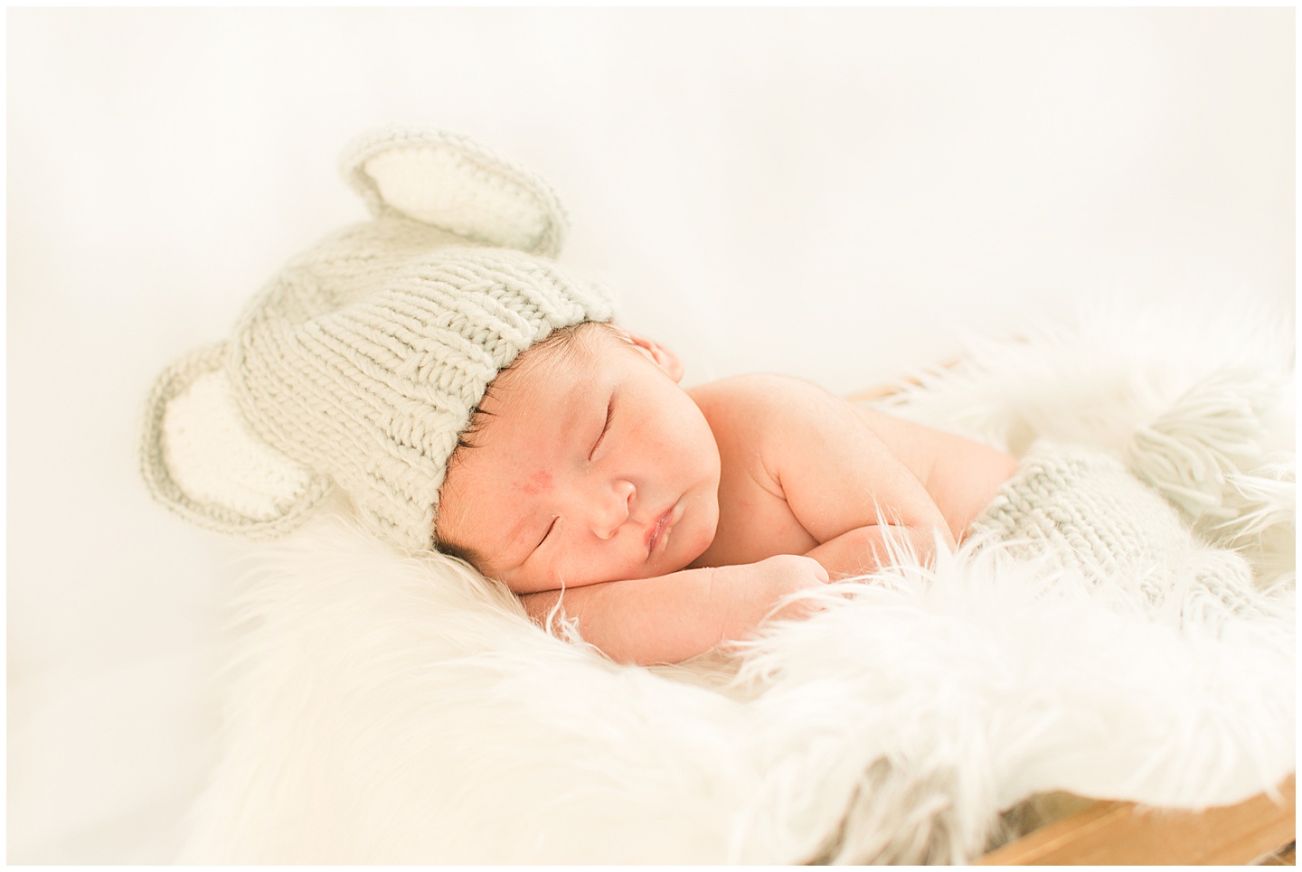 Newborn Boy Session Baby Elephant Tiffany Joy W Photography