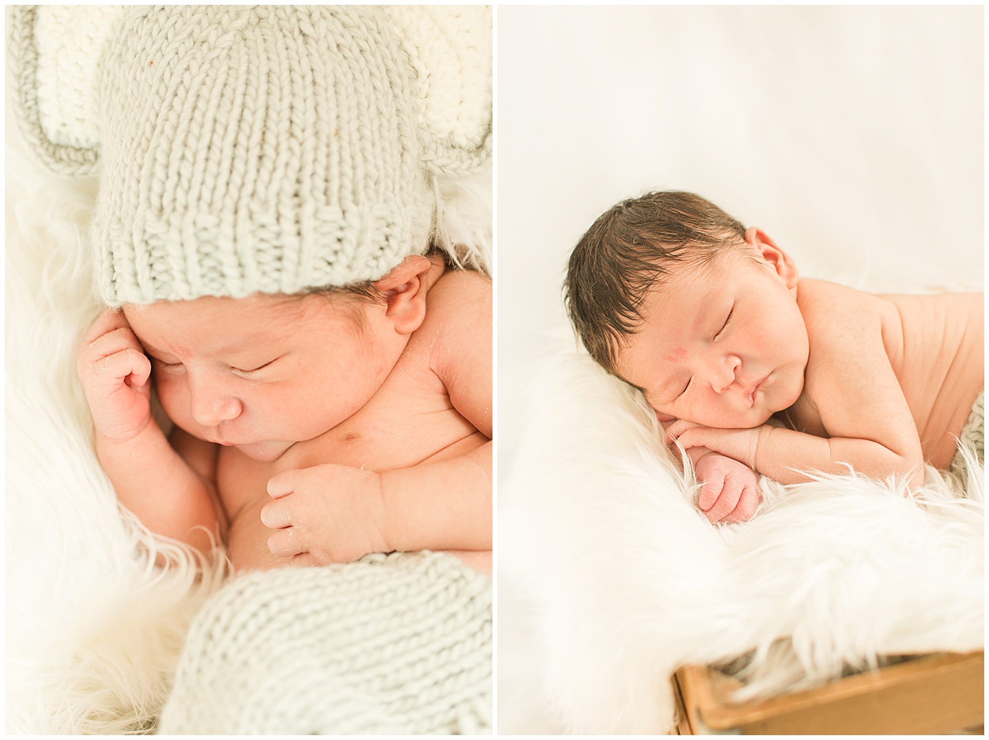 Newborn Boy Session Baby Elephant Tiffany Joy W Photography