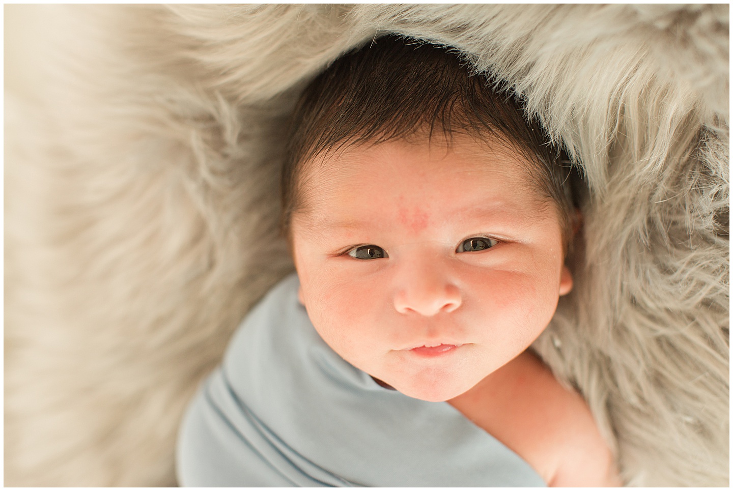 Newborn Boy Session Baby Elephant Tiffany Joy W Photography