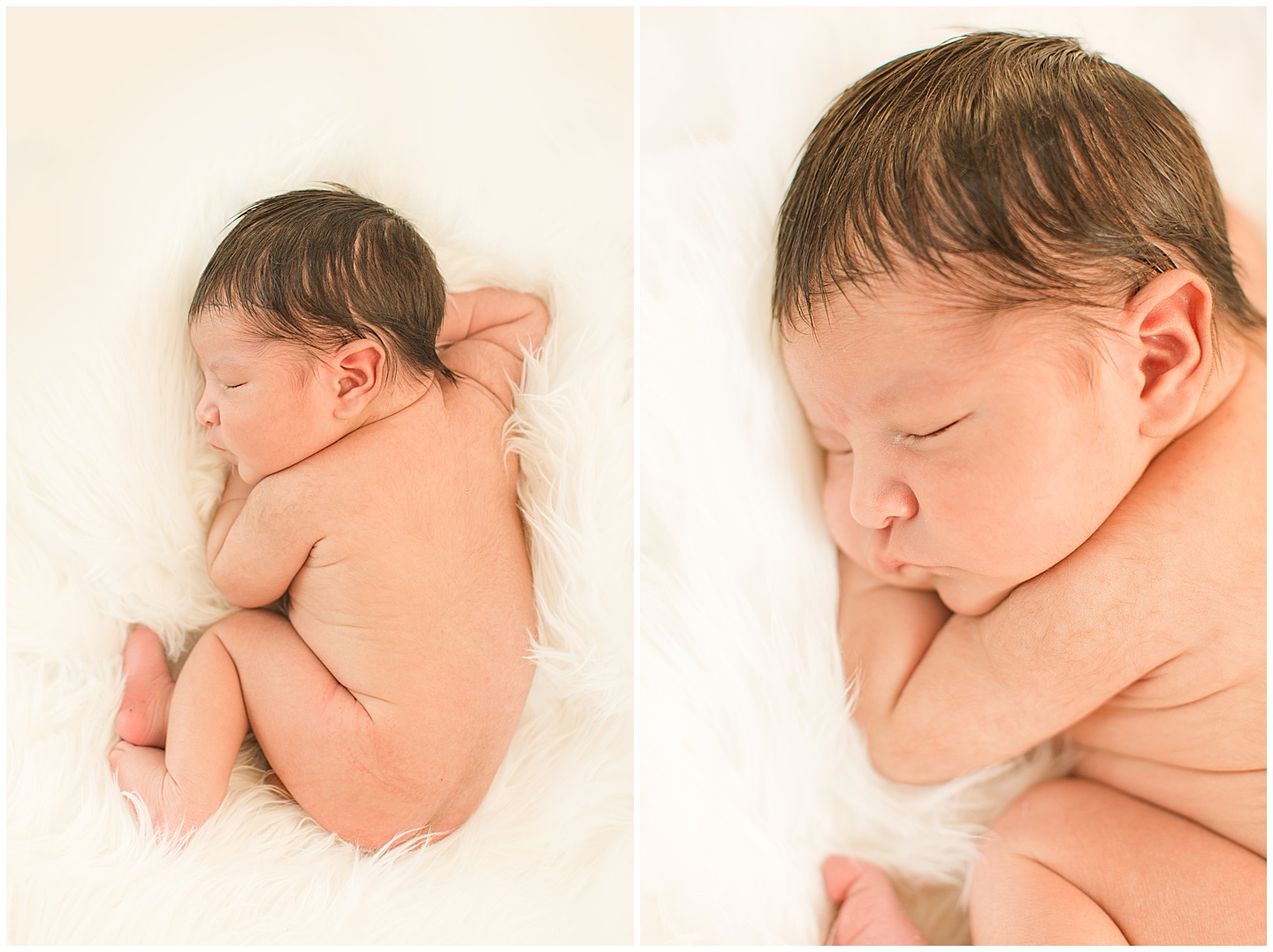 Newborn Boy Session Baby Elephant Tiffany Joy W Photography