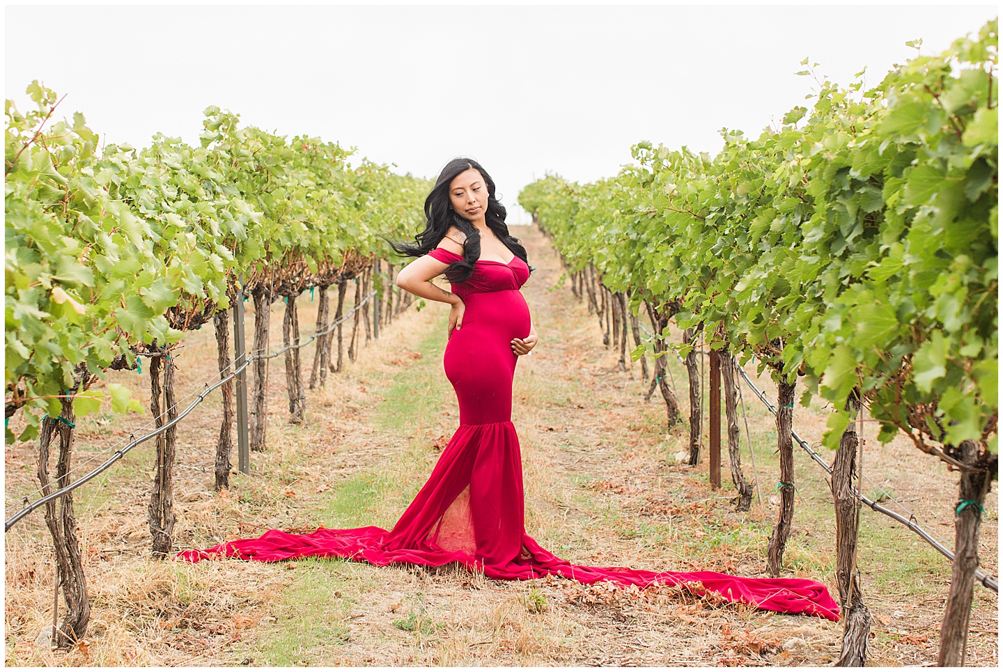 Vineyard and Mountain Red Dress Glamour Maternity Session Tiffany Joy W Photography