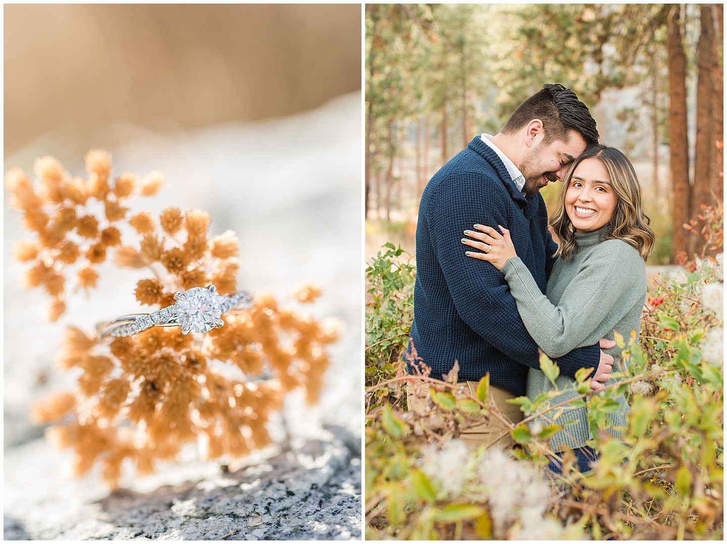 Mountain and Forest Engagement Session Tiffany Joy W Photography