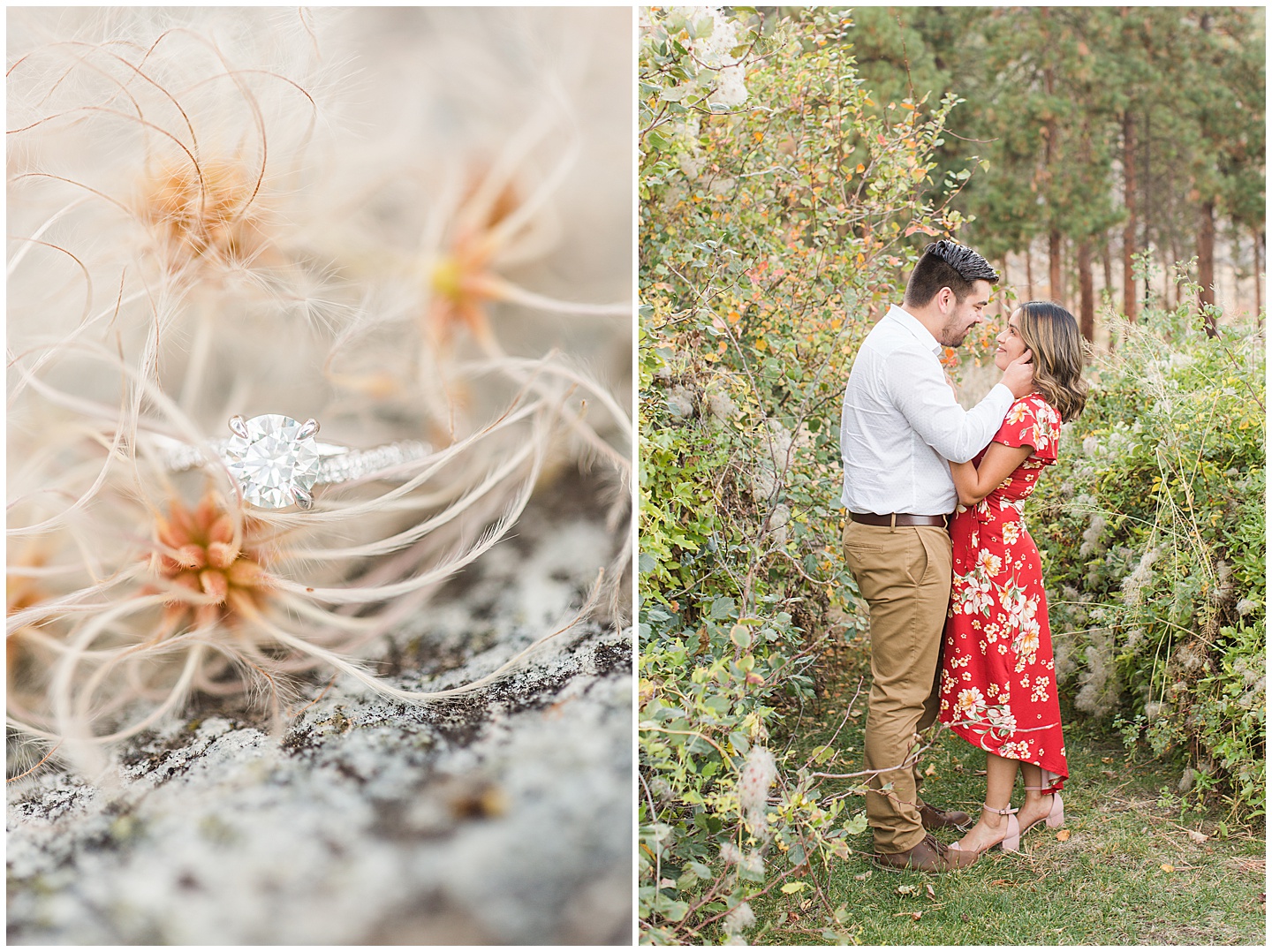 Mountain and Forest Engagement Session Tiffany Joy W Photography