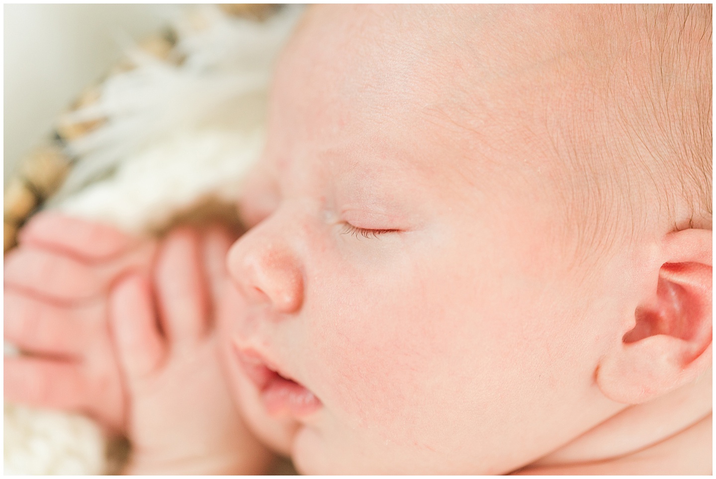 Newborn baby boy neutral session Tiffany Joy W Photography