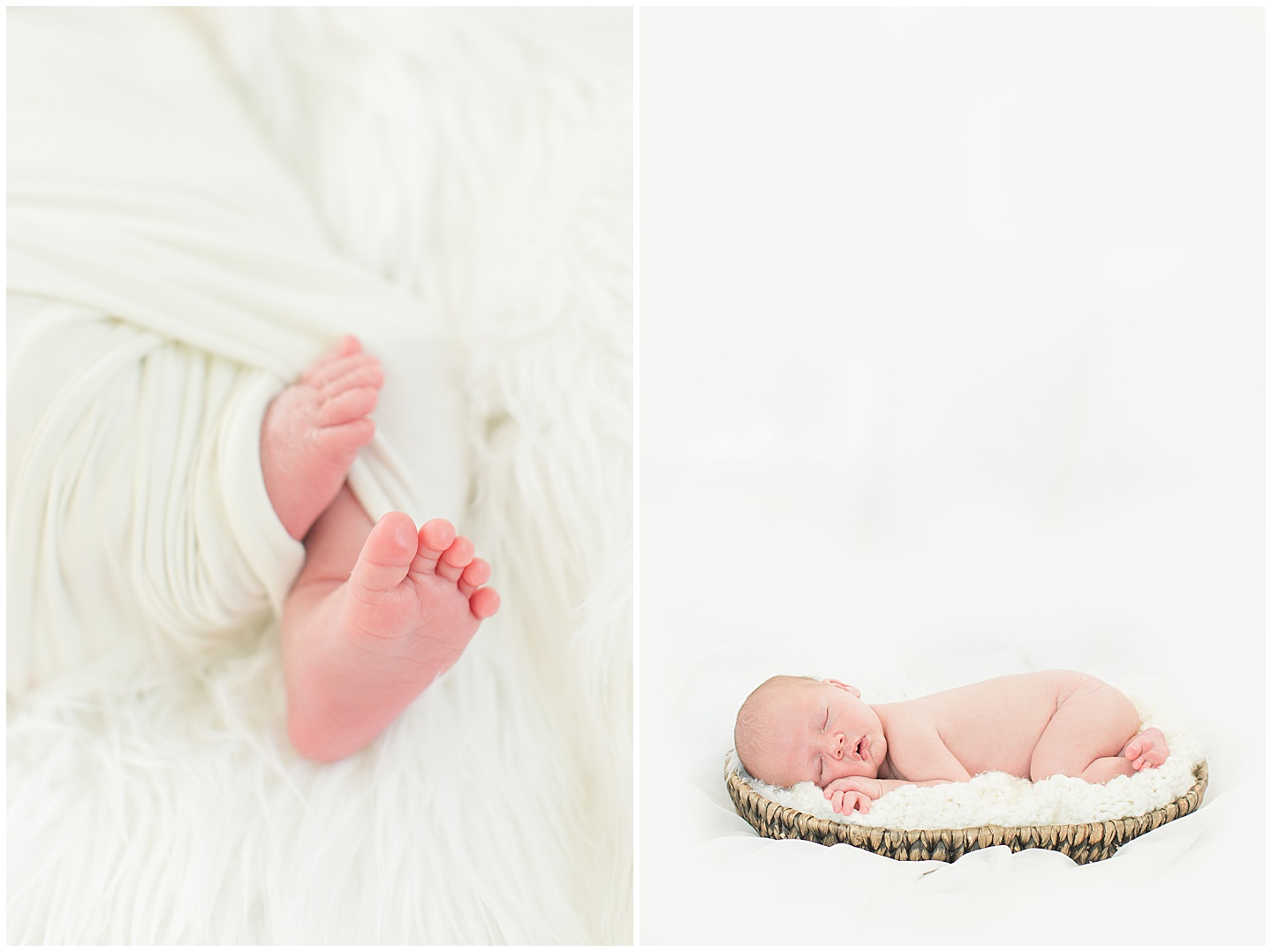 Newborn baby boy neutral session Tiffany Joy W Photography
